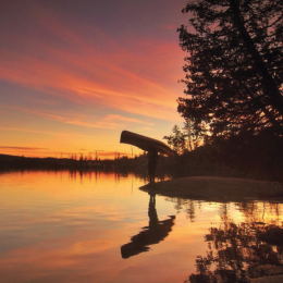 Wilderness News Issue Fall 2016
