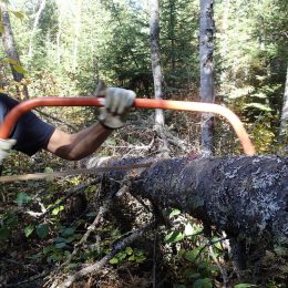 Give back to Border Country: Volunteer in Minnesota’s north woods this summer