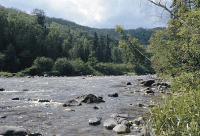 Horne Falls area on the Pigeon River. Photograph by Tom Duffus.