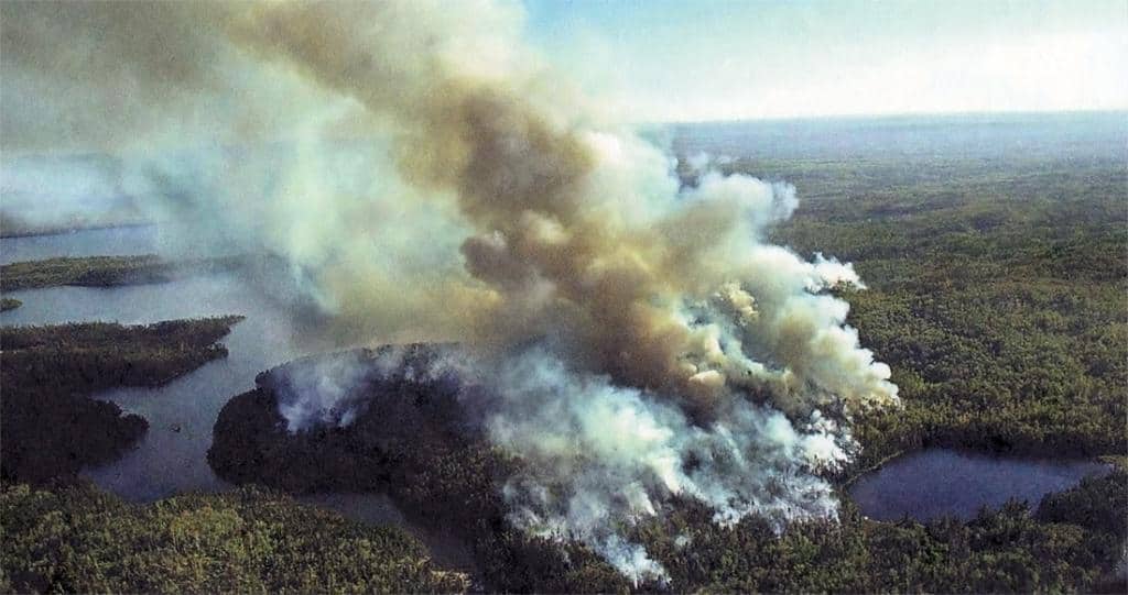 A controlled fire burns near Magnetic Lake on September 16th. About 1500 acres of fallen trees—the result of a July 1999 windstorm—were burned. Photo by Renee Knoeber, courtesy of the Duluth News Tribune.