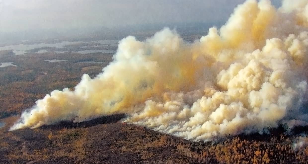 Fall Prescribed Burns Produce Positive Results | Quetico Superior ...