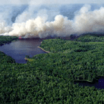 July 21st...the fire burns across an island on Shoepack Lake­. Photo courtesy Voyageurs National Park