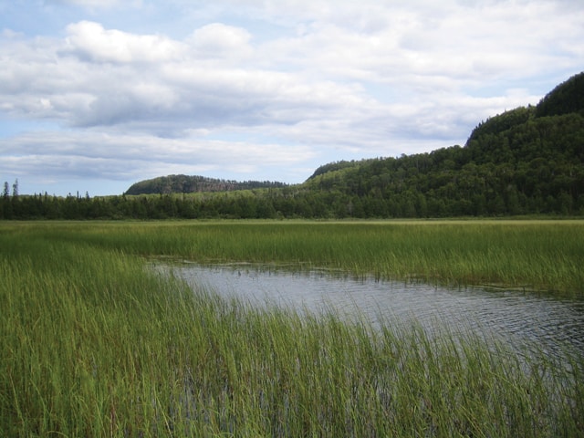 Royal Lake. View from the BWCAW, looking towards the bluffs. 