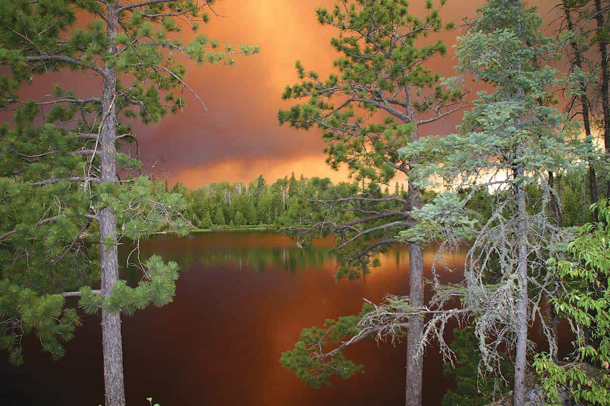 Cavity Lake Fire. Photo courtesy Carol DeSain.
