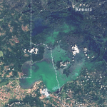 Satellite Map showing extensive algal blooms on the north basin of Lake of the Woods and Shoal Lake, Aug. 7, 2006. Photo courtesy of Jonathan W. Chipman, Space Science and Engineering Center, University of Wisconsin-Madison.