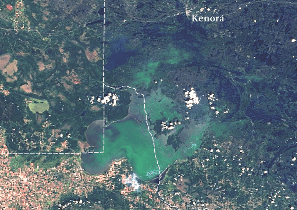 Satellite Map showing extensive algal blooms on the north basin of Lake of the Woods and Shoal Lake, Aug. 7, 2006. Photo courtesy of Jonathan W. Chipman, Space Science and Engineering Center, University of Wisconsin-Madison.