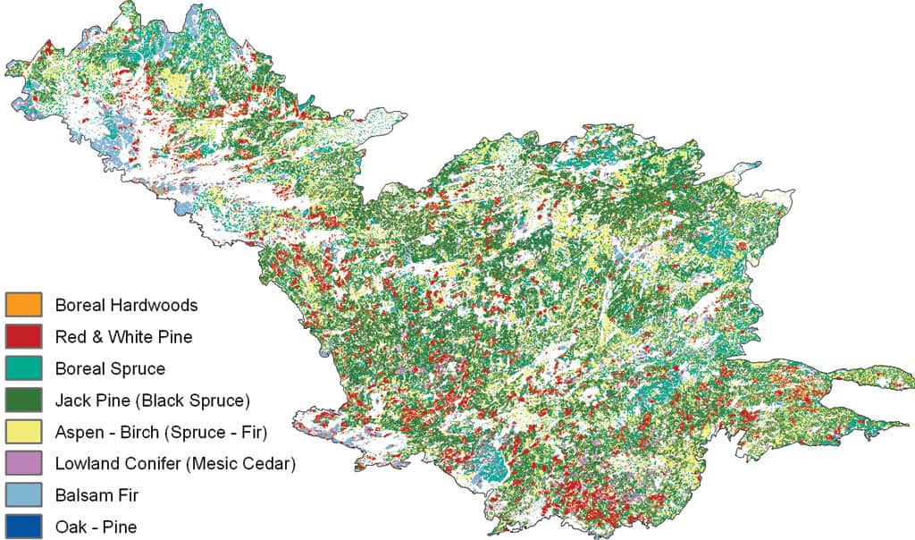  A Model of the Quetico Superior in 200 Years: The modeled results of the “Restoration Management” regime where timber harvest mimicked natural disturbance patterns and ignored management boundaries and where a prescribed fire zone straddled parks and wilderness area boundaries. (White areas that are not lakes represent recently burned regions.) 