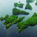 The Review Islands on Rainy Lake. Photo courtesy Jean Replinger and the Oberholtzer Foundation.