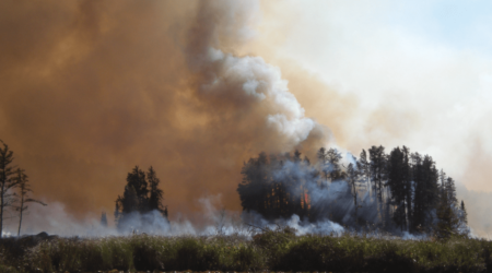 The 1999 Blowdown and Forest Management Practices Impacts the Pagami Creek Fire