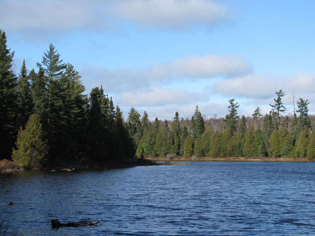 Land Swap Would Transfer 30,000 Acres of Superior National Forest to ...