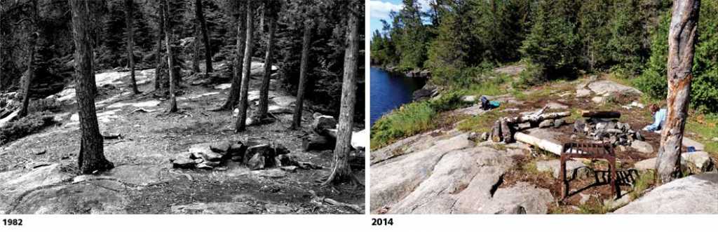 Photos of the same site in 1982 and 2014 show how many campsites have become more open over time. All photos courtesy Dr. Jeff Marion.
