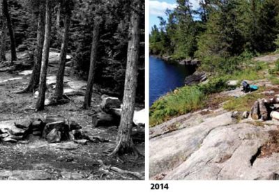 Photos of the same site in 2014 and 1982, respectively, show how many campsites have become more open over time. All photos courtesy Dr. Jeff Marion.