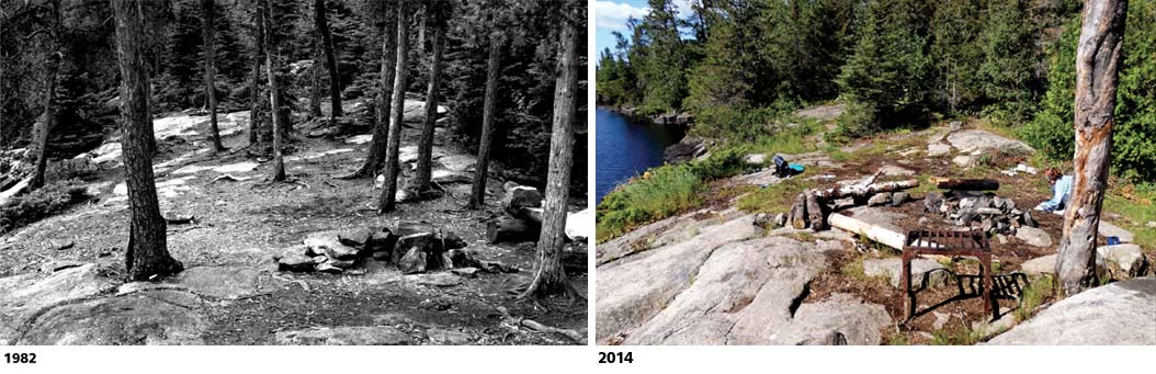 Photos of the same site in 2014 and 1982, respectively, show how many campsites have become more open over time. All photos courtesy Dr. Jeff Marion.