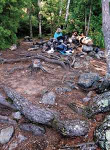 Marion’s research found that 43 percent of trees on campsites have moderate to severe root exposure.