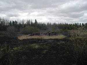 The McNair Site after a prescribed burn. (Superior National Forest photo)