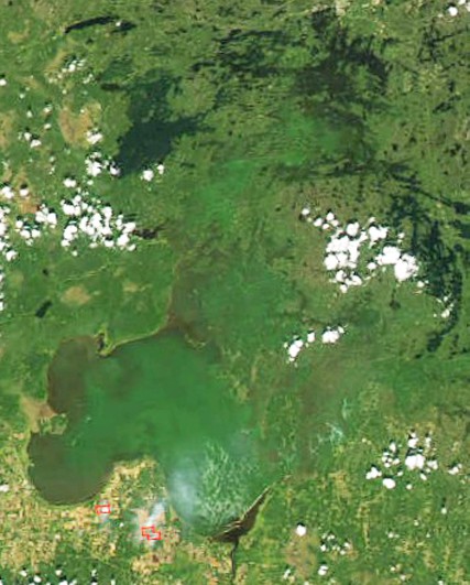 Satellite imagery of Lake of the Woods during a cyanobacteria bloom. (MODIS photo)