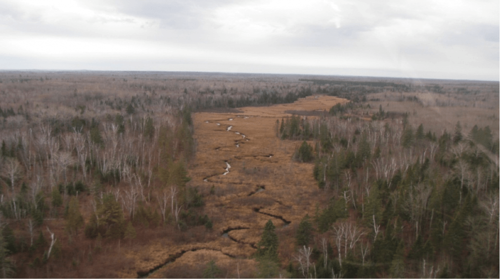 Aerial view of Knife River during 2011 aerial survey (Photo courtesy MN DNR)