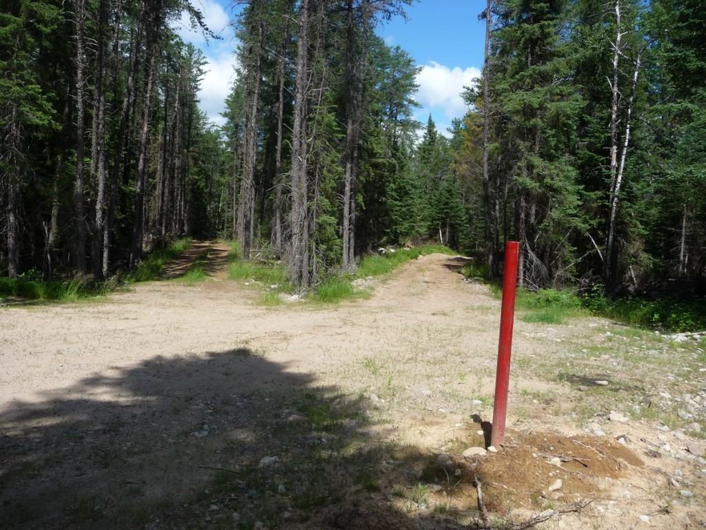 A capped drill hole and the web of access roads on Superior National Forest lands near Highway 1, southeast of Ely, in 2010. (Greg Seitz photo)