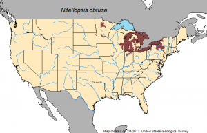 Click to enlarge: Map of where the invasive plant has been found as of early 2017. (USGS)