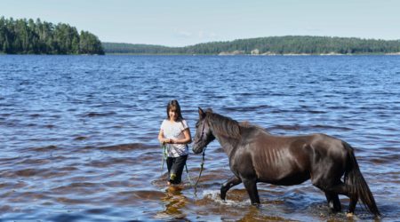 Quetico Park celebrates ponies that once called the wilderness home