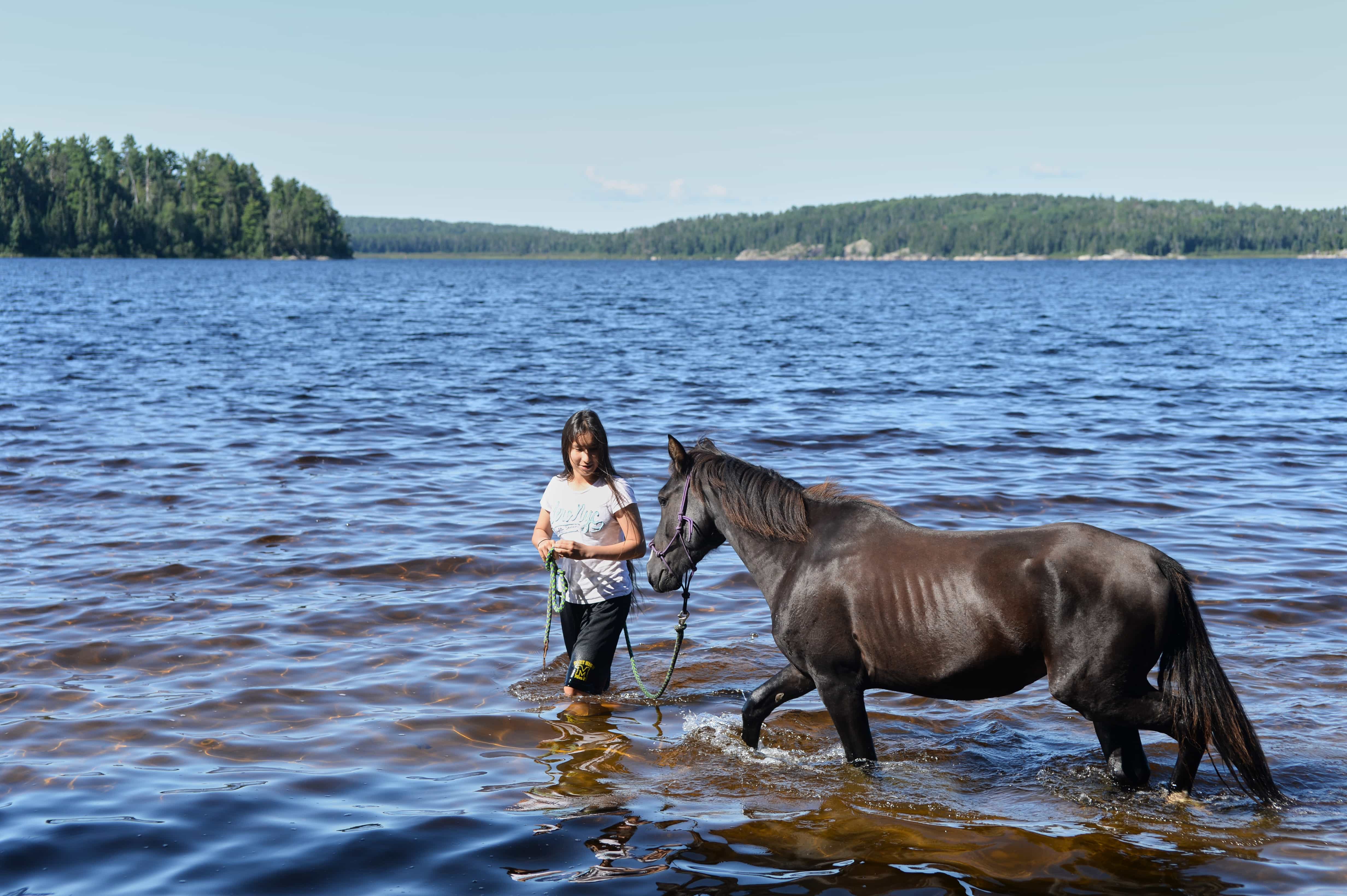 Lac La Croix Pony (Photo courtesy Ontario Parks)