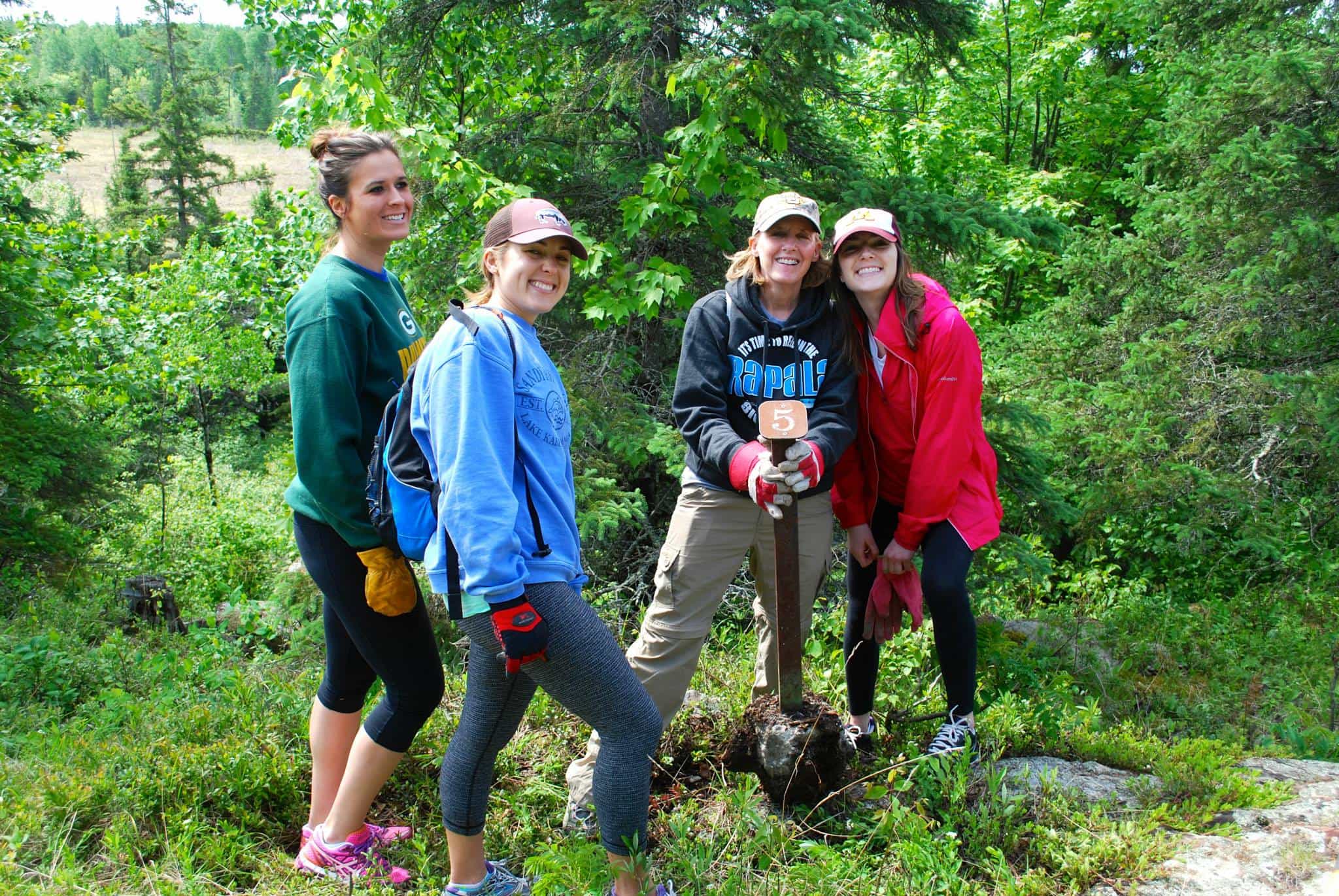 Volunteers Invited To Collect Seeds, Combat Invasive Cattails At ...