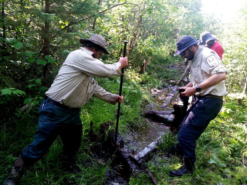 Tamer Ibrahim of the Gunflint Ranger District of the Superior National Forest and Eric Boyd, an Ontario Park Warden, clear obstructions to lay stringer for a lifted plank walk. Photo courtesy the Heart of the Continent Partnership.