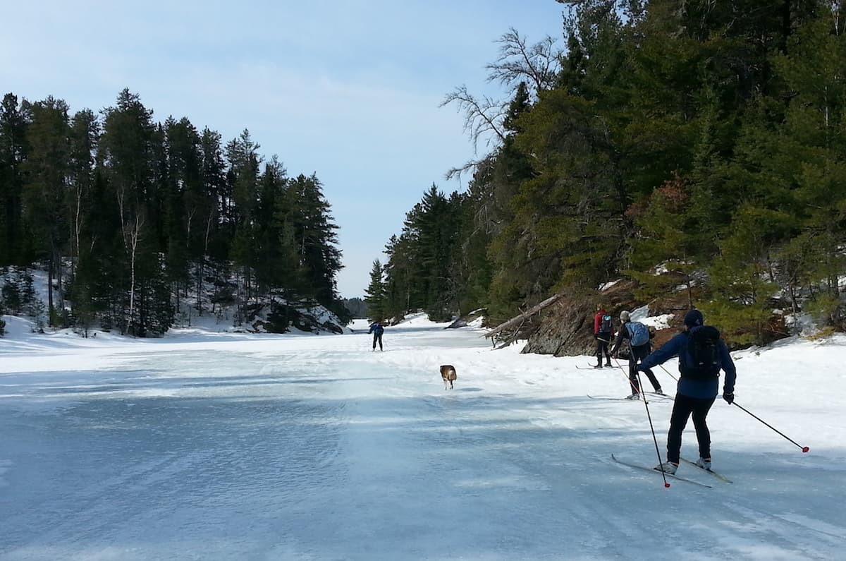 Atikokan invites skiers to explore Quetico's winter wilderness during