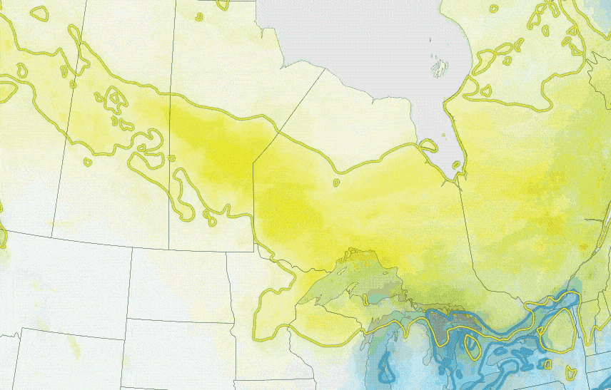 The yellow area shows loon breeding habitat between now and 2015. Blue shows winter habitat. (Audubon)