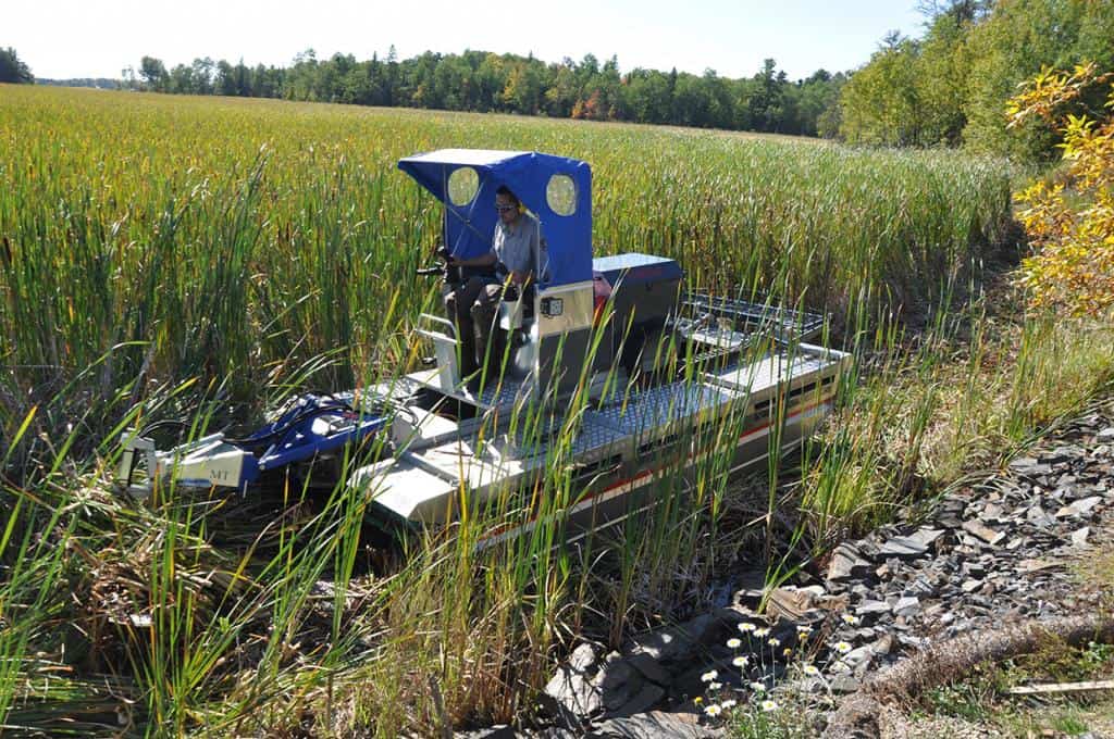 A Voyageurs National Park biologist chops up cattails that have invaded a wetland.