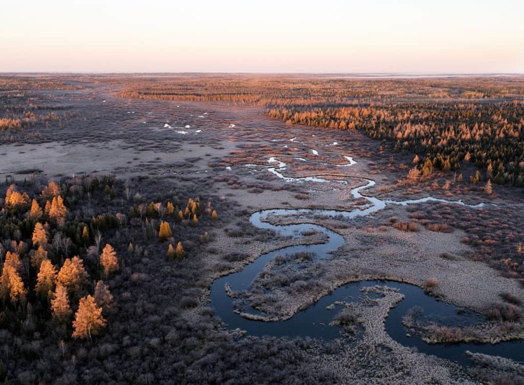 Embarrass River, downstream of the PolyMet mine site. (Photo by Rob Levine)