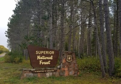 Superior National Forest sign along the Gunflint Trail