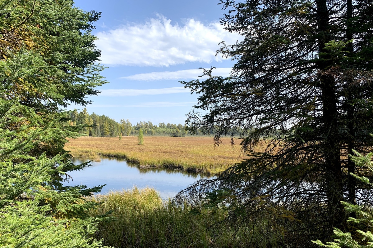 4,000+ acres of timber company land protected in northern MN