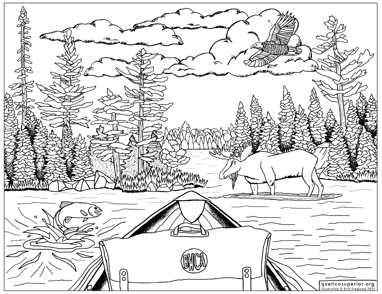 Coloring Page: Caribou Lake, Boundary Waters Canoe Area Wilderness