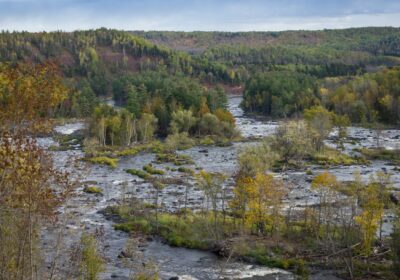 St. Louis River in Jay Cooke State Park. (Brett Whaley/Flickr)
