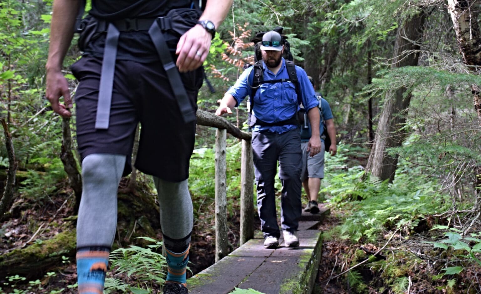 Researchers To Track Human Impacts On Isle Royale Wildlife | Quetico ...