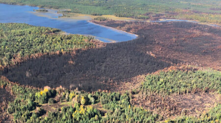 Boundary Waters Wildfires 2021