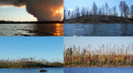Tracking change in the path of the Pagami Creek Fire 10 years later
