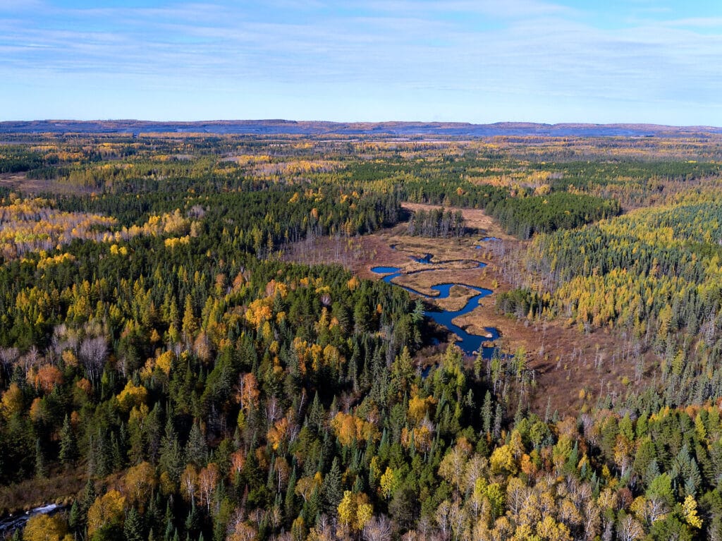Partridge River near proposed PolyMet mine
