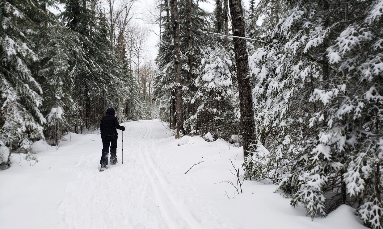 Snowshoeing George Washington Pines, photos by Holly Scherer