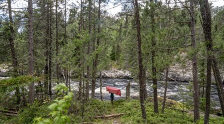 Canoeists cross Quetico Park on 600-mile Path of the Paddle expedition
