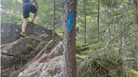 Forest Service reports illegal trail markings on Boundary Waters wilderness hiking path