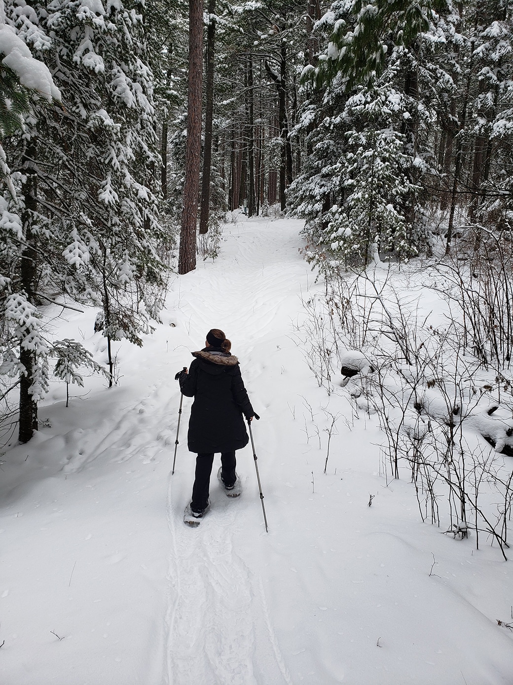 5 great places to hike or snowshoe in Minnesota this winter