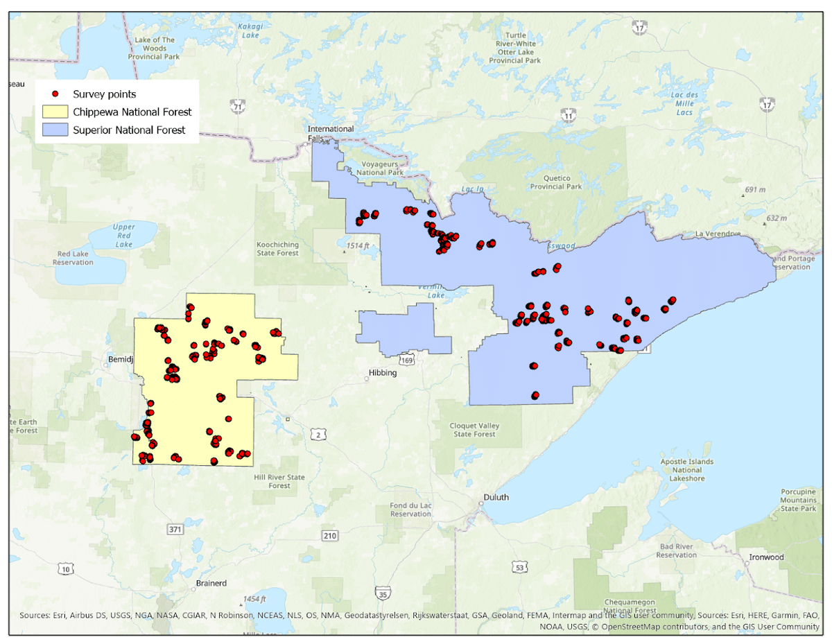 MN birds in decline survey shows dwindling populations