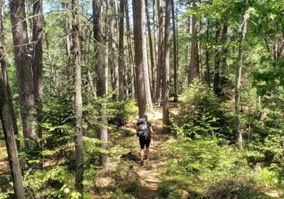 Best MN State Parks for Backpacking