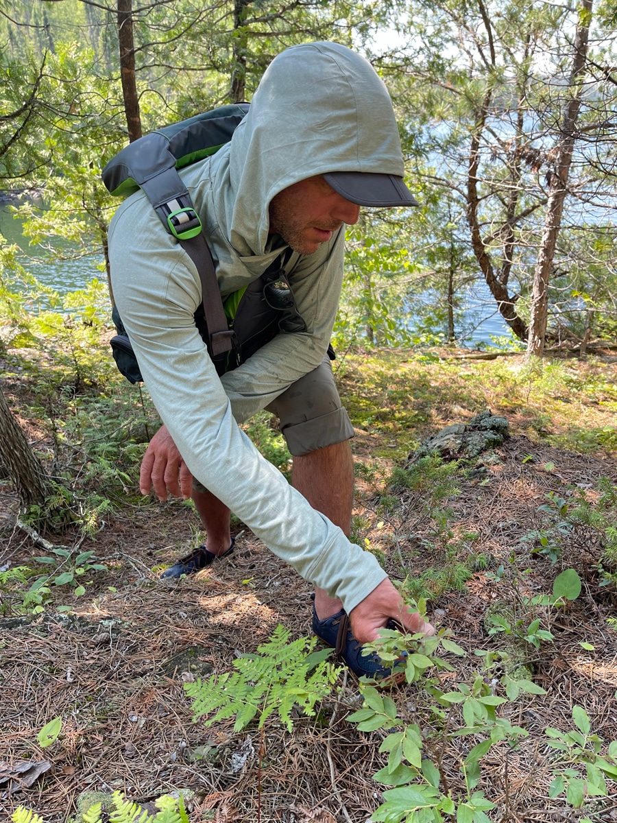 Magical history tour through the BWCA