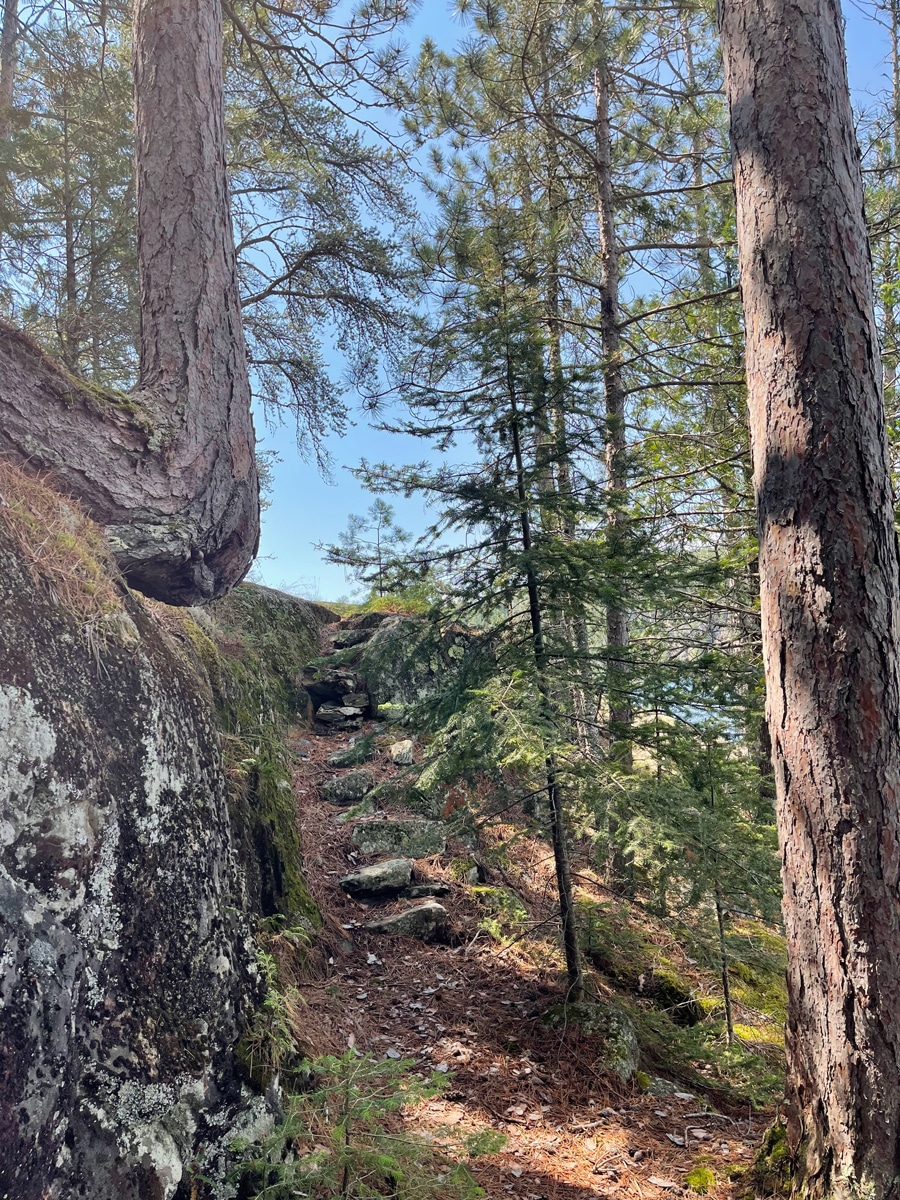 Magical history tour through the BWCA