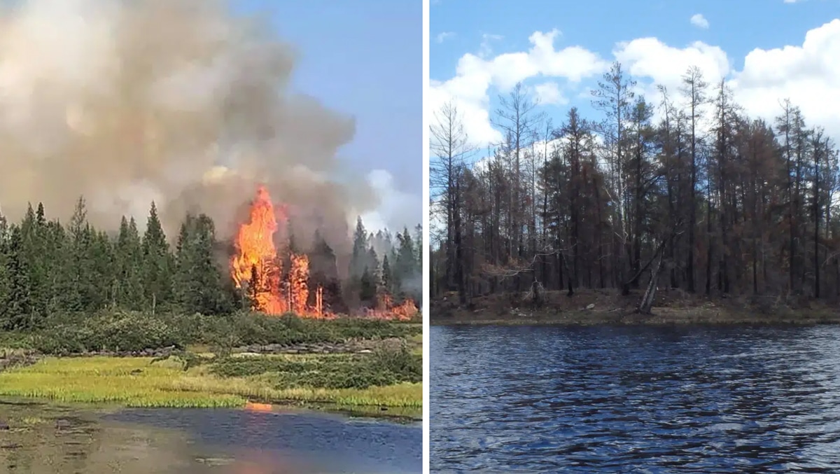 2021 Greenwood Fire in BWCA had major impacts on water quality