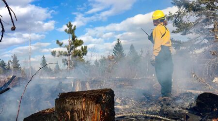 Minnesota’s dry winter sparks concerns for spring wildfires