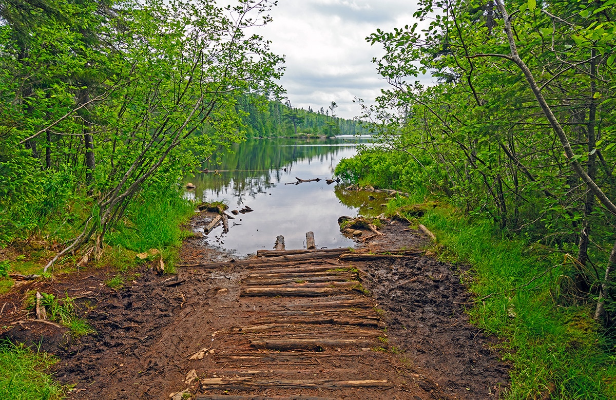 Tread lightly: reducing impact from hiking, biking, road and trail use